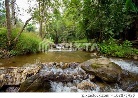 Beauty In Nature, Boulder - Rock, Color Image, Forest, Freshwater Beauty In Nature, Boulder - Rock, Color Image, Forest, Freshwater 102875450
