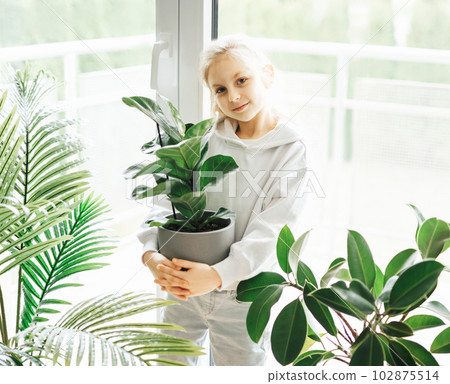 Little girl and houseplants Little girl and houseplants 102875514