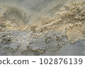 paint on the wall is peeling and mold. Caused by water and damp. 102876139