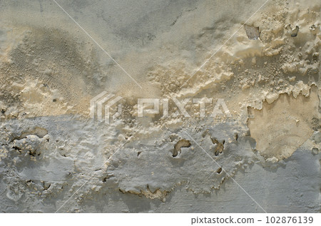 paint on the wall is peeling and mold. Caused by water and damp. 102876139