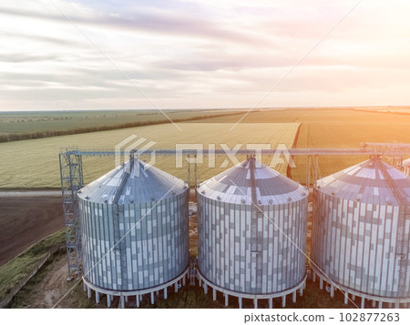 Modern metal silos on agro-processing and manufacturing plant. Aerial view of Granary elevator processing drying cleaning and storage of agricultural products, flour, cereals and grain. Nobody. Modern metal silos on agro-processing and manufacturing plant. Aerial view of Granary elevator processing drying cleaning and storage of agricultural products, flour, cereals and grain. Nobody. 102877263