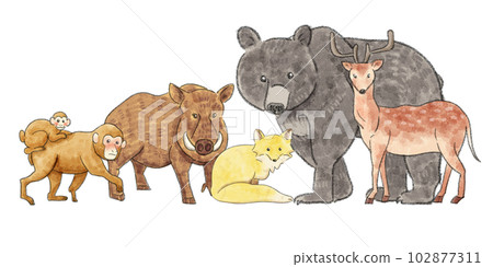 Illustration of a lot of wild animals Illustration of a lot of wild animals 102877311