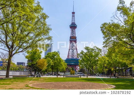 札幌電視塔札幌大通公園 札幌電視塔札幌大通公園 102878192