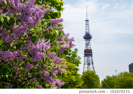 Sapporo TV Tower Sapporo Odori Park Sapporo TV Tower Sapporo Odori Park 102878231
