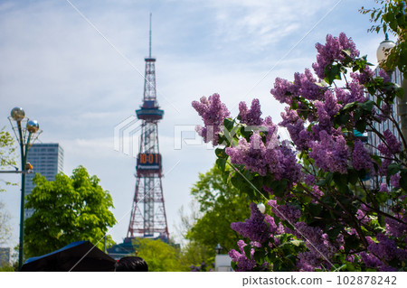 札幌電視塔札幌大通公園 札幌電視塔札幌大通公園 102878242