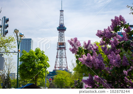札幌電視塔札幌大通公園 札幌電視塔札幌大通公園 102878244