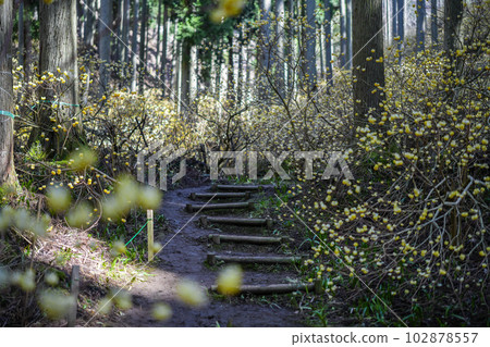 Kyoto Prefecture Ayabe City Mitsumata Colony 102878557