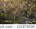 Kyoto Prefecture Ayabe City Mitsumata Colony 102878586
