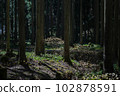 Kyoto Prefecture Ayabe City Mitsumata Colony 102878591