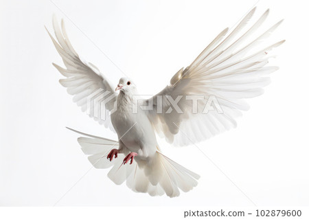 This beautiful white bird in flight, with its wings spread wide and feathers fluffed, is a true marvel of nature. AI Generative. 102879600