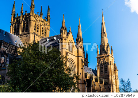 Sydney · St. Mary's Cathedral Sydney · St. Mary's Cathedral 102879649