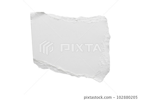 White ripped paper torn edges strips isolated on white background White ripped paper torn edges strips isolated on white background 102880205