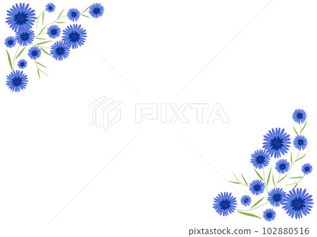 Hand drawn vector illustration of blue cornflower 102880516