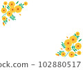 Hand drawn vector illustration of marigold 102880517