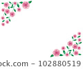 Hand drawn vector illustration of a pink rose 102880519