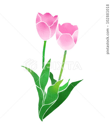 pink tulips in watercolor style pink tulips in watercolor style 102881018