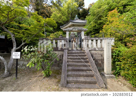 聖德太子陵永福寺教造(大阪府南河內郡太子町) 聖德太子陵永福寺教造(大阪府南河內郡太子町) 102883012