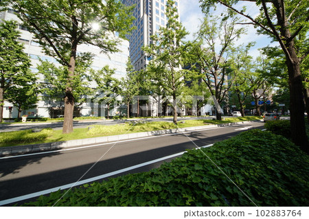 禦堂筋，大阪城市景觀 102883764