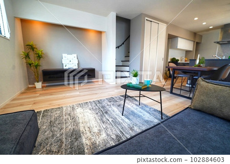 Newly built house with modern living and dining 102884603