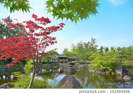 Niigata Prefectural Toriya Nogata Park Healing Garden Niigata Prefectural Toriya Nogata Park Healing Garden 102884998