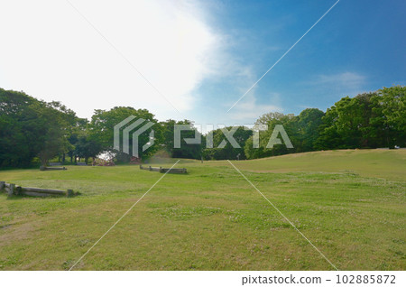 新潟縣立鳥矢之方公園修剪森林 102885872
