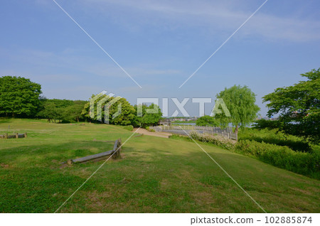 新潟縣鳥矢之方公園修剪森林和鳥矢之方 新潟縣鳥矢之方公園修剪森林和鳥矢之方 102885874