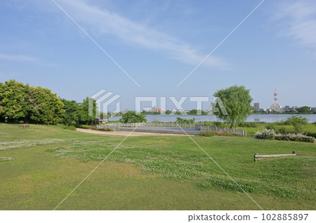 新潟縣鳥矢之方公園修剪森林和鳥矢之方 新潟縣鳥矢之方公園修剪森林和鳥矢之方 102885897
