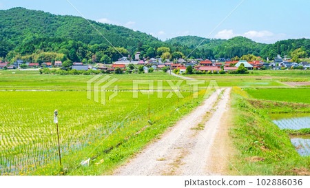 tranquil rural landscape tranquil rural landscape 102886036