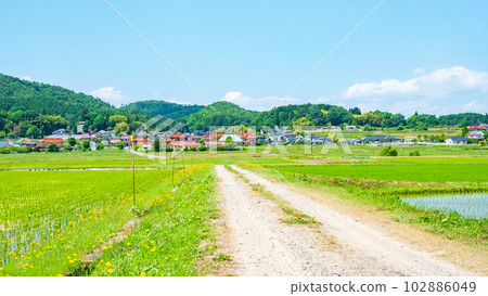 tranquil rural landscape 102886049