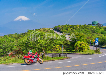 (靜岡縣)在杜鵑花盛開和富士山的伊豆天際線上奔跑的騎手 (靜岡縣)在杜鵑花盛開和富士山的伊豆天際線上奔跑的騎手 102886429