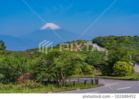 (靜岡縣)從杜鵑花盛開的伊豆天際線眺望富士山 (靜岡縣)從杜鵑花盛開的伊豆天際線眺望富士山 102886452