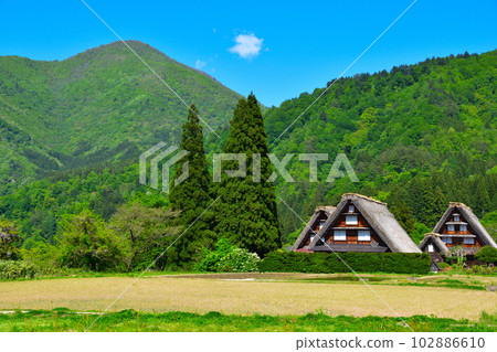 Haru Shirakawago Ogimachi district 102886610