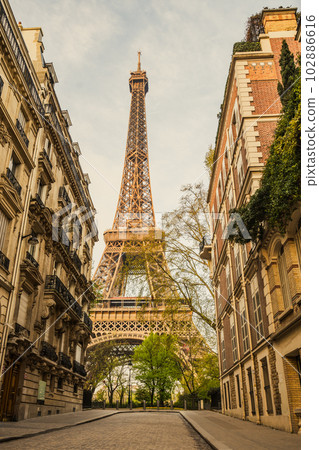 View of the Eiffel Tower from a nearby street full of residential buildings. Paris, France 102886616