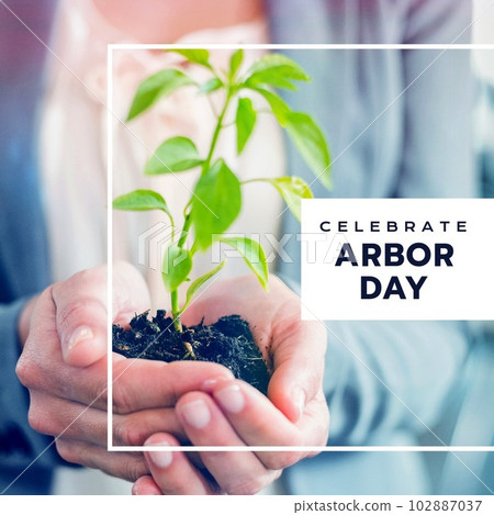 Composition of arbor day text and caucasian woman holding seedling 102887037