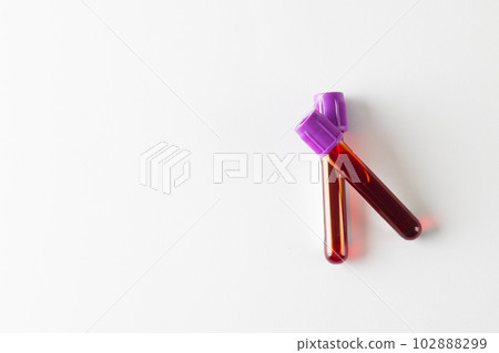 Two blood sample tubes with purple lids, on white background with copy space 102888299
