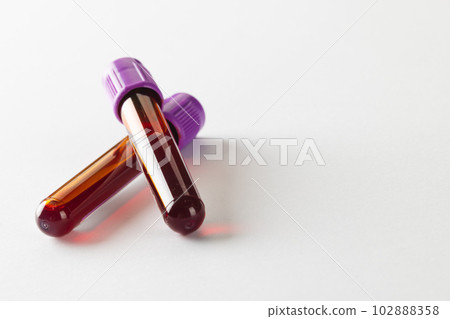 Two blood sample tubes with purple lids, on white background with copy space 102888358