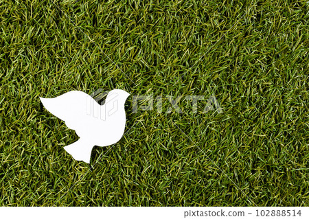 Close up of white dove with copy space on grass background Close up of white dove with copy space on grass background 102888514