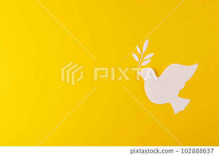 Close up of white dove with leaf and copy space on yellow background Close up of white dove with leaf and copy space on yellow background 102888637