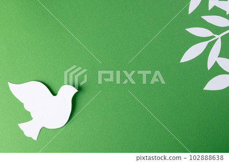 Close up of white dove with leaves and copy space on green background Close up of white dove with leaves and copy space on green background 102888638