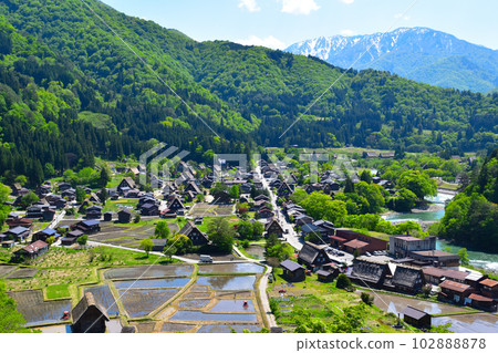 Haru Shirakawago Ogimachi district 102888878