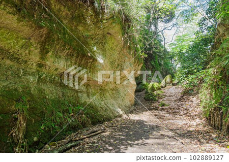 Great Buddha Cutout in Kamakura City 102889127