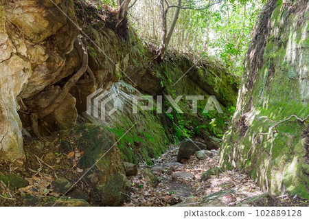 Great Buddha Cutout in Kamakura City 102889128