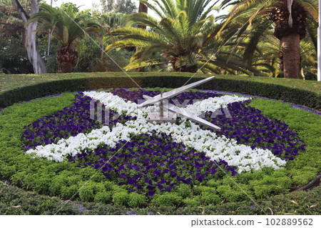 Flower clock in Parque Garcia Sanabria, Santa Cruz de Tenerife, Tenerife Islands, Spain. 102889562
