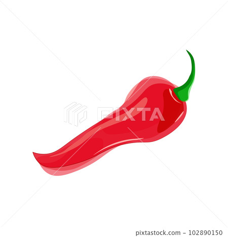 Vector chili pepper in watercolor style Vector chili pepper in watercolor style 102890150