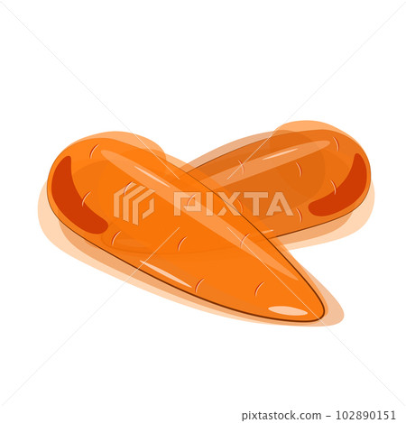 Illustration of two carrots in watercolor style. Vector 102890151