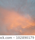 vanilla sky 102890179