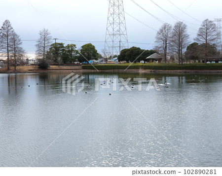 河內水與綠色交流公園漫步 河內水與綠色交流公園漫步 102890281