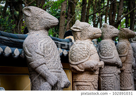 韓國釜山海東龍宮寺景觀 102891031