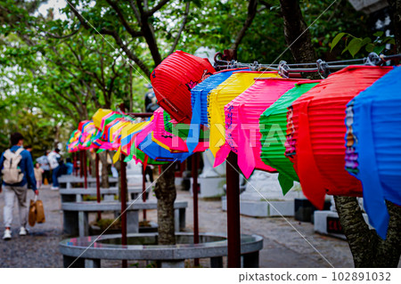 Landscape of Haedong Yonggungsa Temple in Busan, South Korea 102891032