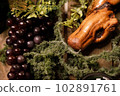 葡萄和樹 102891761